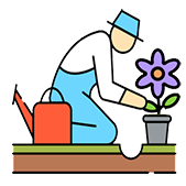 Plantación de nuevas flores​