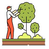 Mantenimiento de Jardines Precio