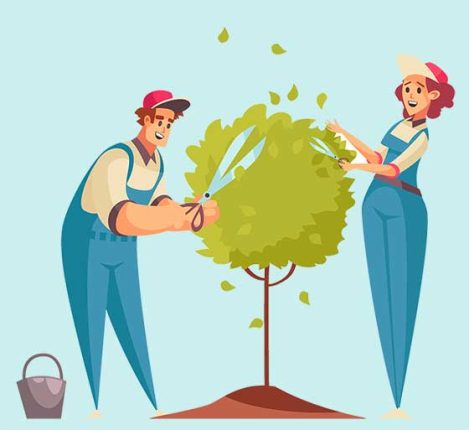 jardineros a domicilio caba precio